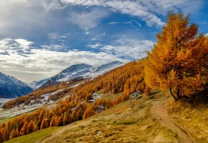Livigno (Italy)